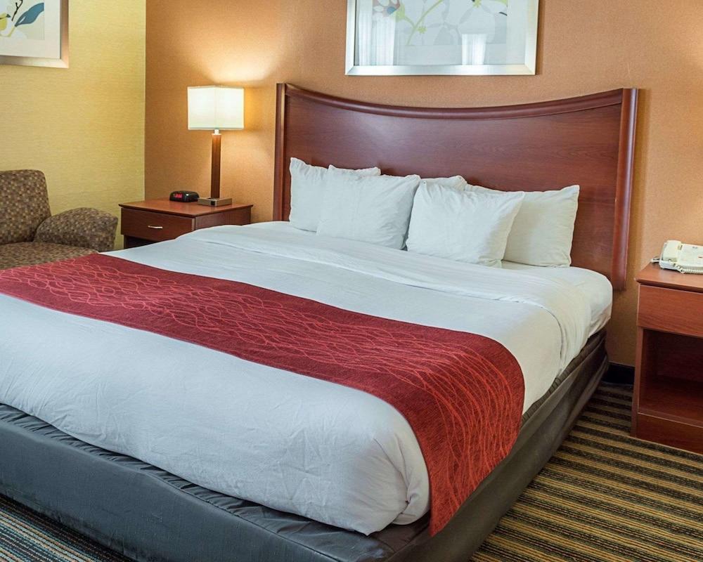 Comfort Inn Petersburg Near Fort Gregg-Adams Ngoại thất bức ảnh