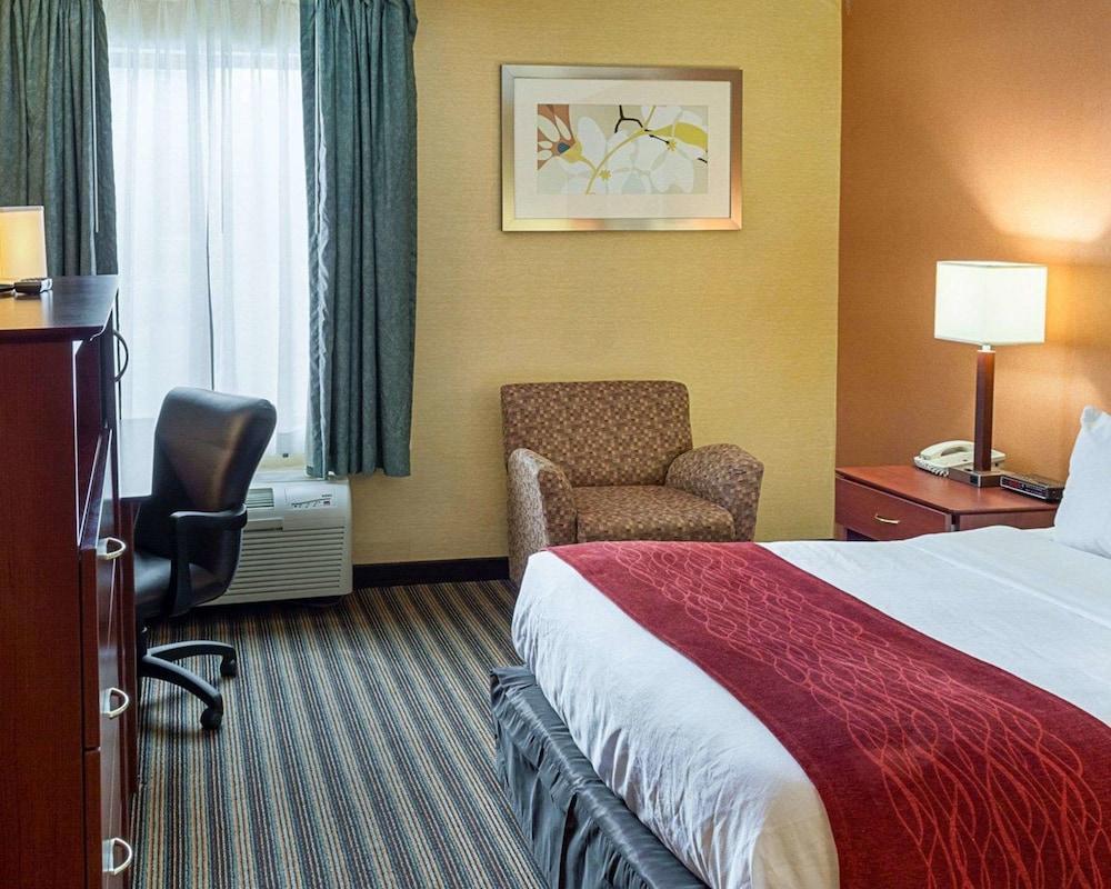 Comfort Inn Petersburg Near Fort Gregg-Adams Ngoại thất bức ảnh
