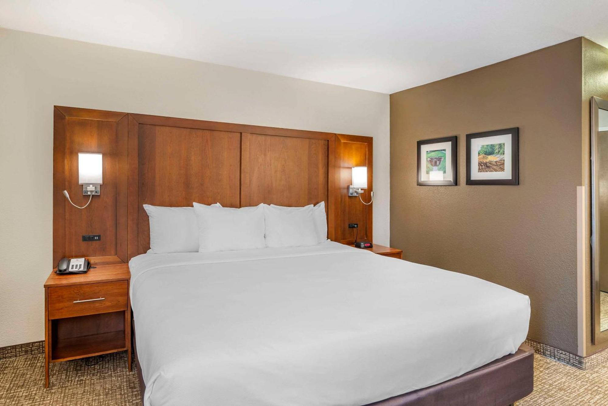 Comfort Inn Petersburg Near Fort Gregg-Adams Ngoại thất bức ảnh