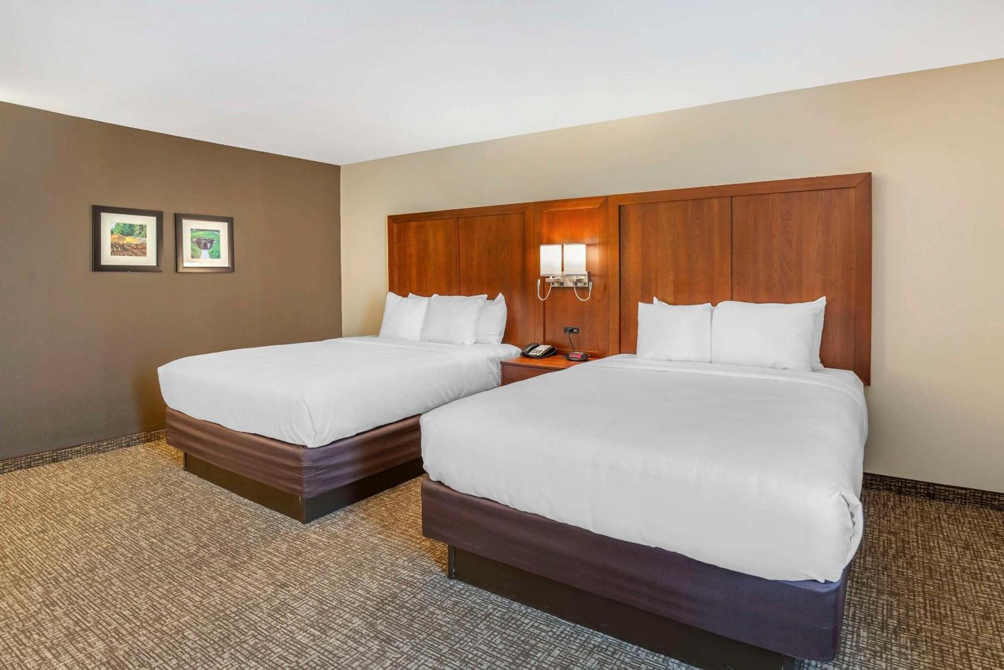Comfort Inn Petersburg Near Fort Gregg-Adams Ngoại thất bức ảnh