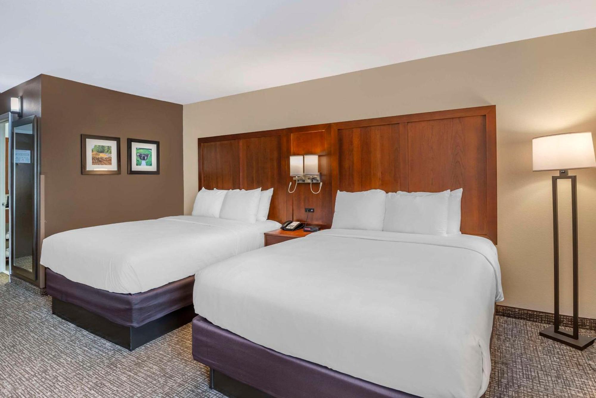 Comfort Inn Petersburg Near Fort Gregg-Adams Ngoại thất bức ảnh