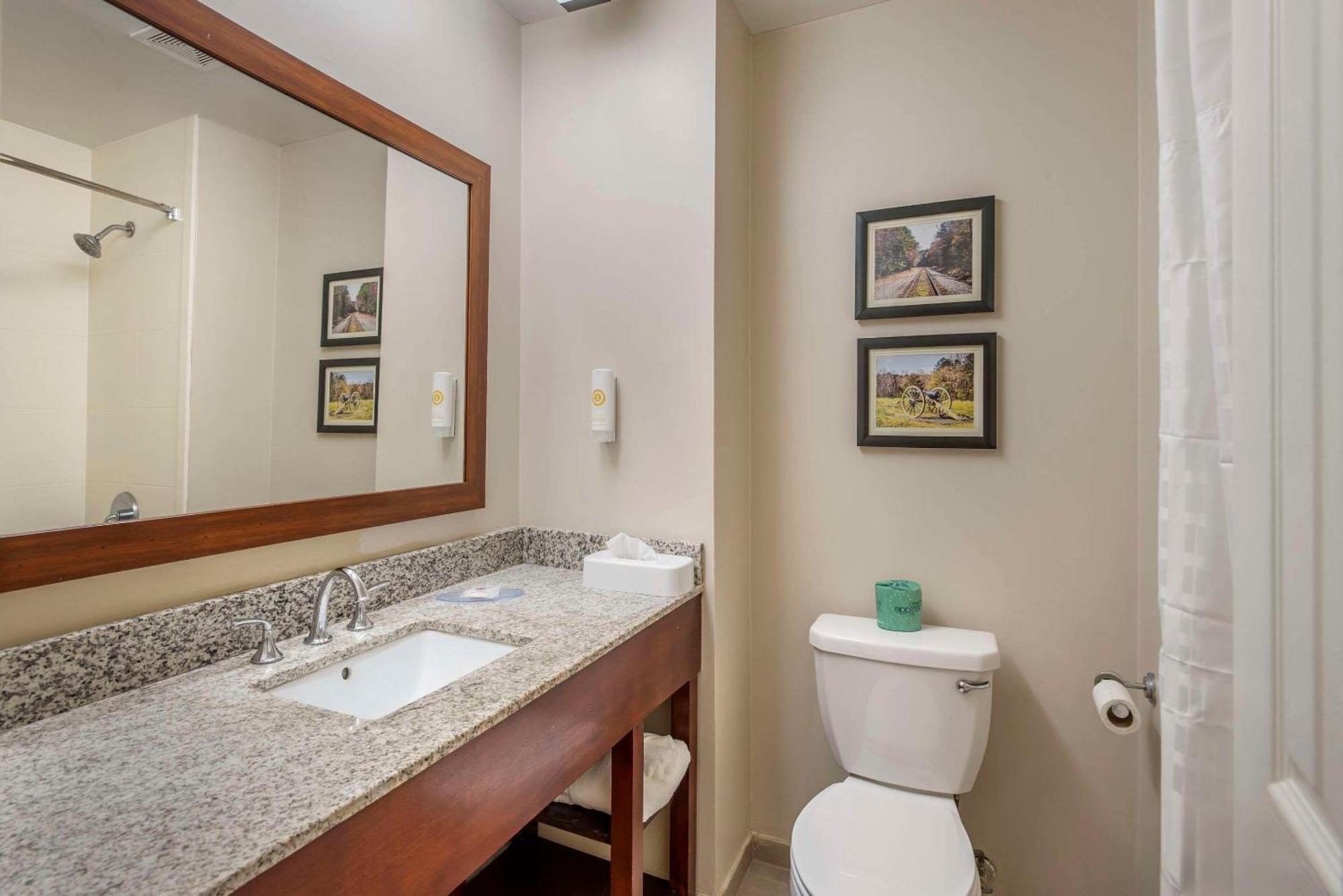 Comfort Inn Petersburg Near Fort Gregg-Adams Ngoại thất bức ảnh