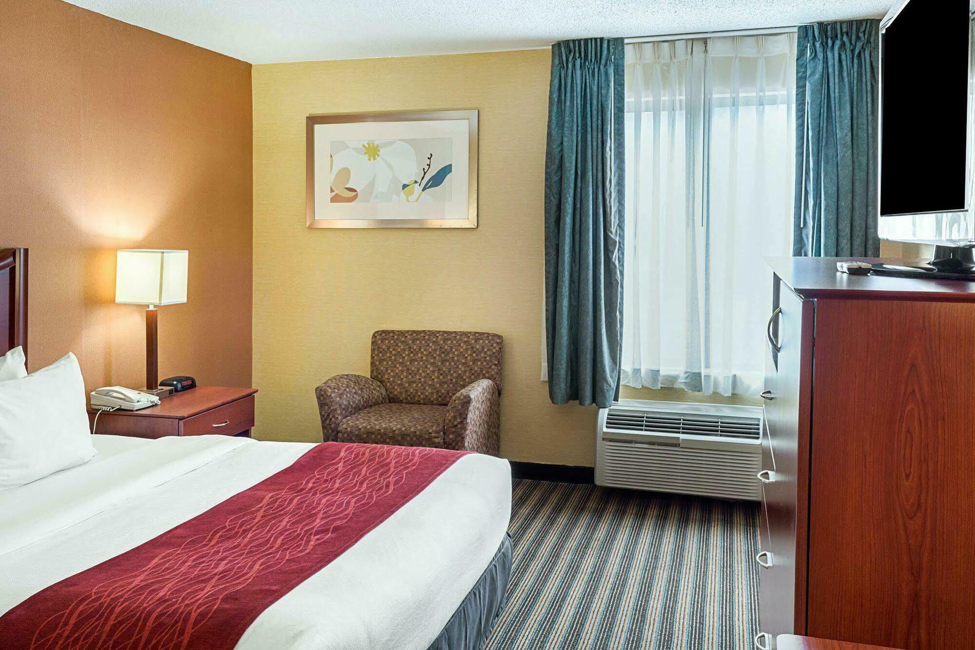 Comfort Inn Petersburg Near Fort Gregg-Adams Ngoại thất bức ảnh