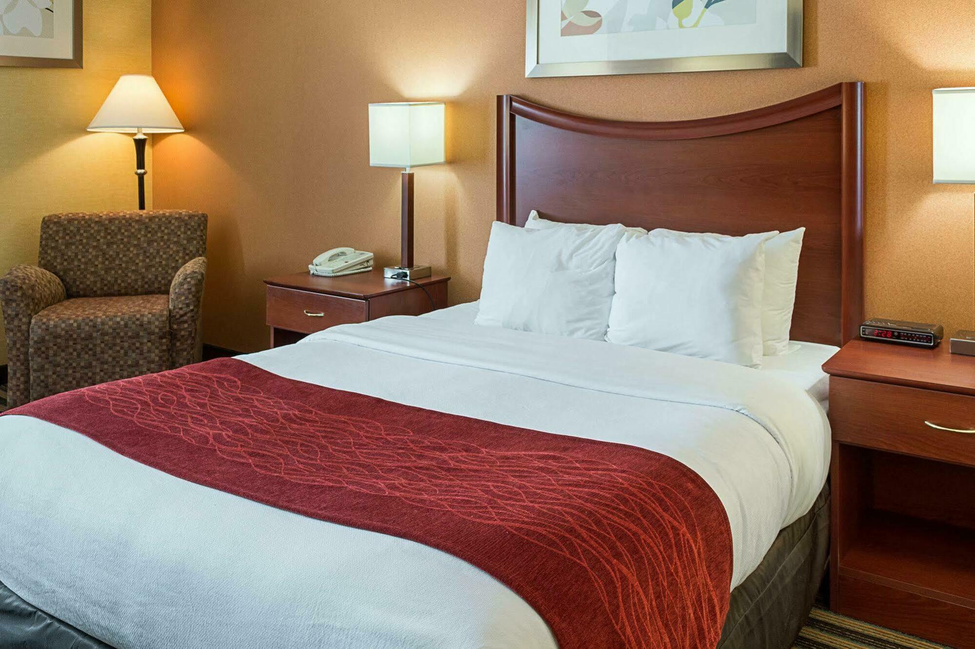 Comfort Inn Petersburg Near Fort Gregg-Adams Ngoại thất bức ảnh