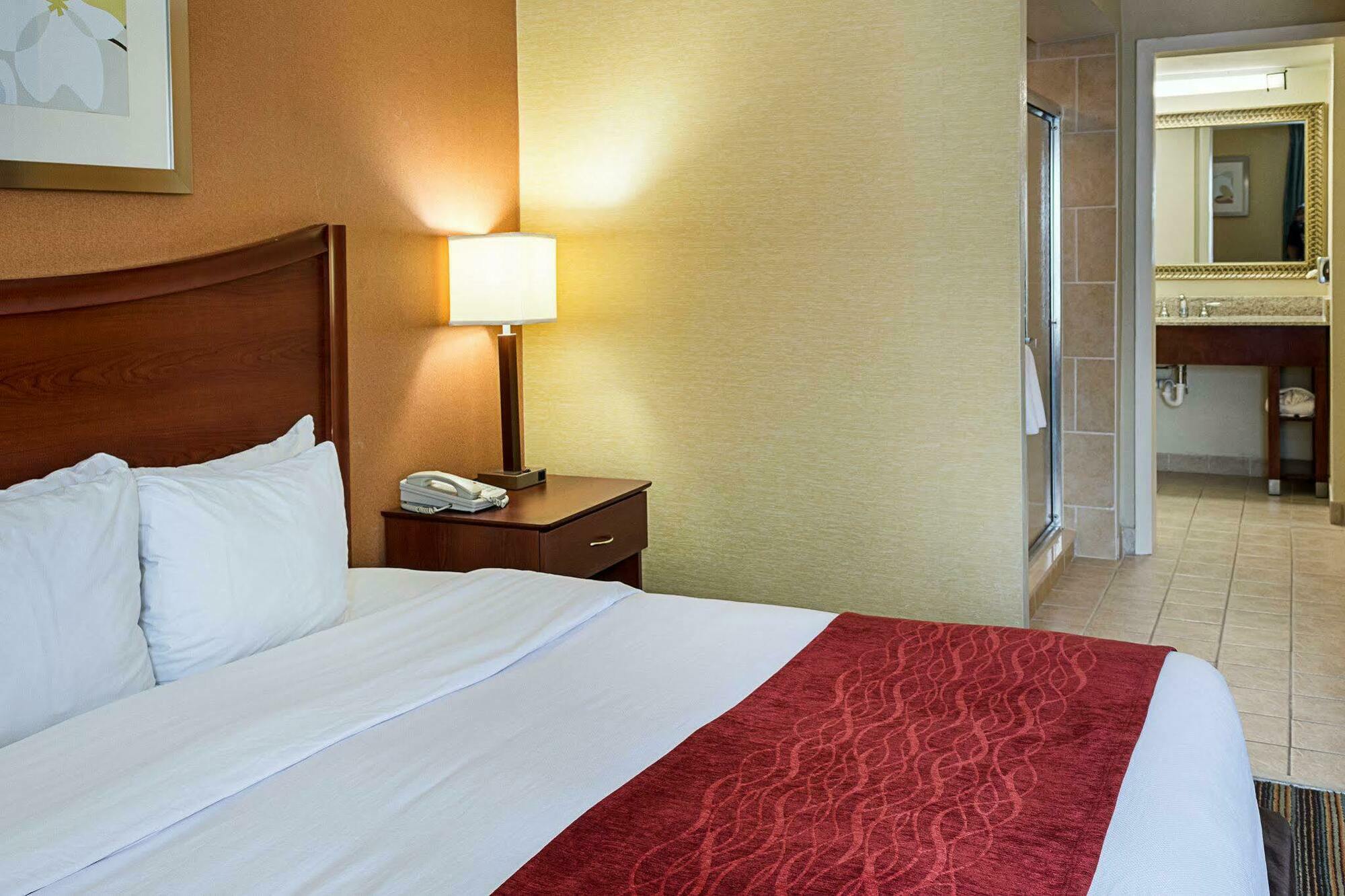Comfort Inn Petersburg Near Fort Gregg-Adams Ngoại thất bức ảnh